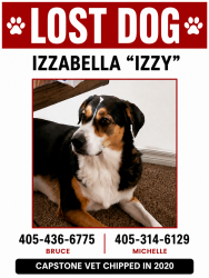 Reunited Female Dog last seen 149th and western, Oklahoma City, OK 73170
