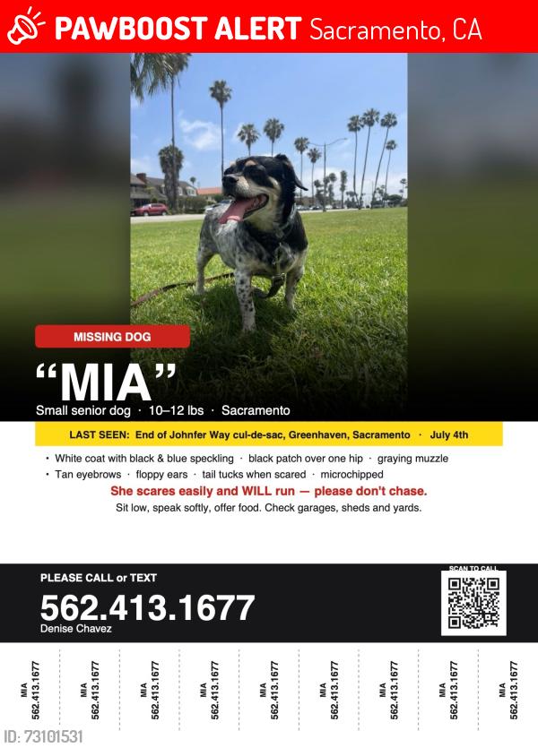 Lost Female Dog last seen Johnfer way cul-de-sac, Greenhaven Sacremento, Sacramento, CA 95831