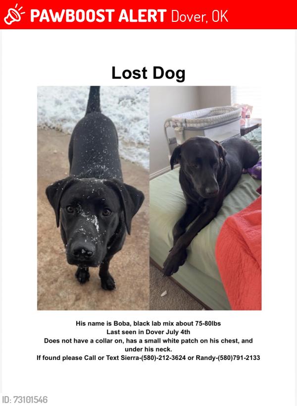 Lost Male Dog last seen S Taylor St, Dover, OK 73734