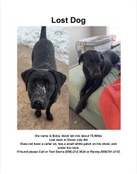 Lost Male Dog last seen S Taylor St, Dover, OK 73734