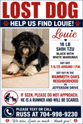 Lost Male Dog last seen Jefferson Drive in Mammoth Oaks neighborhood, Charlotte, NC 28270