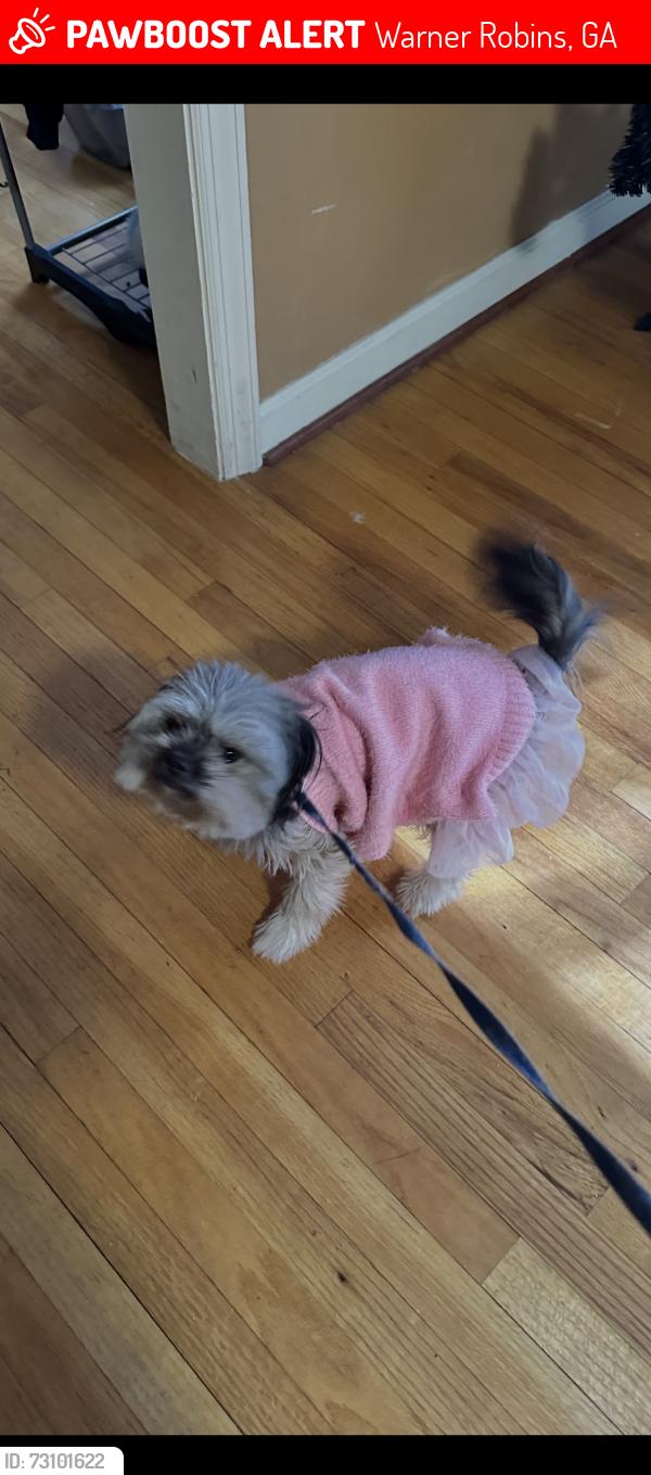Lost Female Dog last seen Russell parkway, Warner Robins, GA 31095