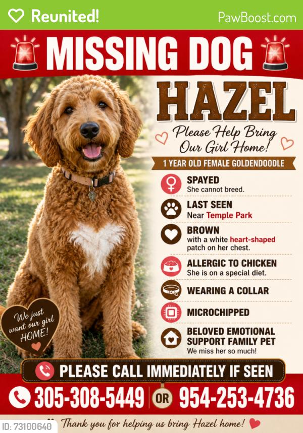 Reunited Female Dog last seen Temple Park, The Acreage, FL 33470