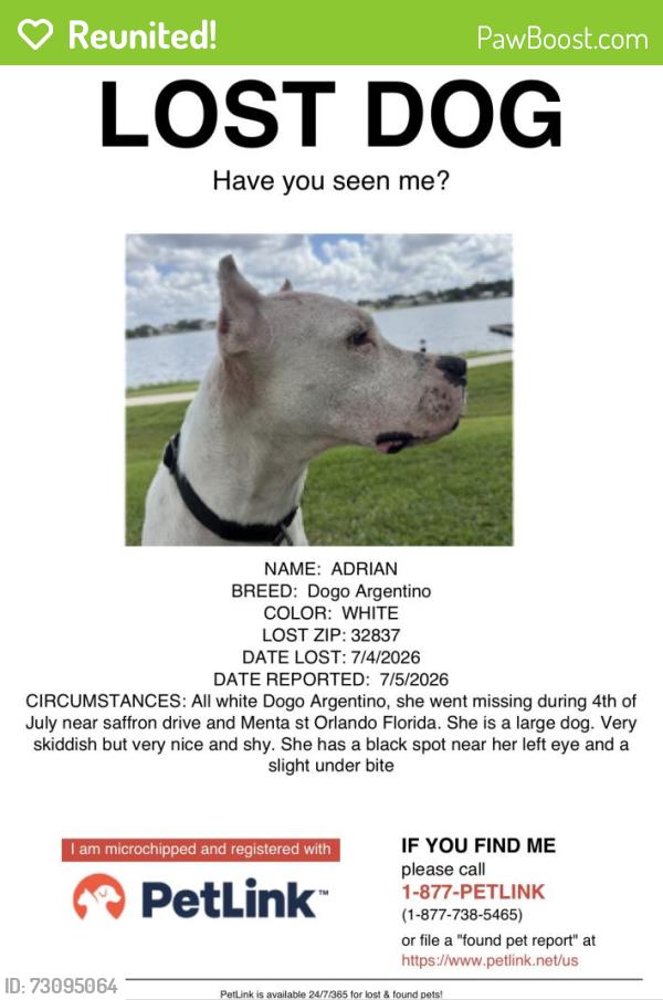 Reunited Female Dog last seen Near saffron drive, Orlando, Florida , Orlando, FL 32837