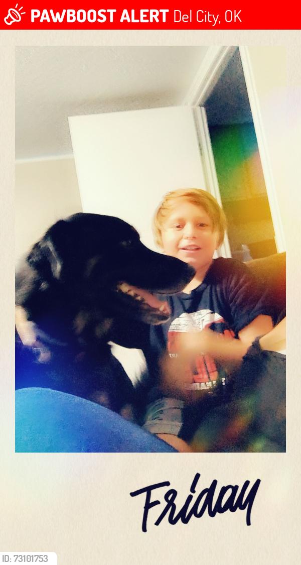 Lost Male Dog last seen Hampton and se 15, Del City, OK 73115