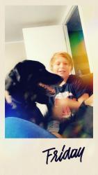 Lost Male Dog last seen Hampton and se 15, Del City, OK 73115