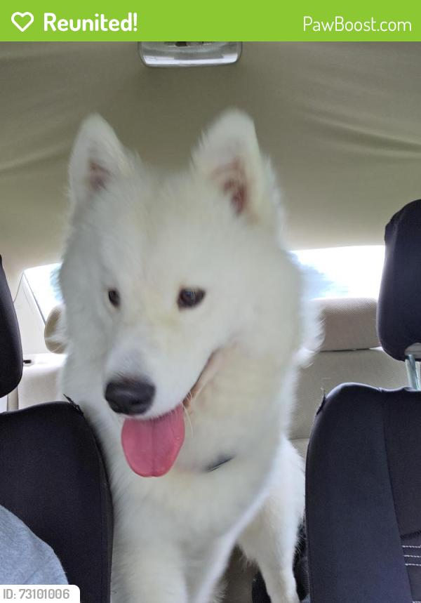 Reunited Female Dog last seen Hertzog dr, Leola, PA 17540