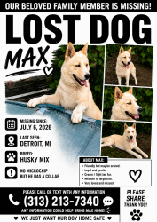 Reunited Male Dog last seen Thaddeus , Jefferson, Detroit, MI 48209
