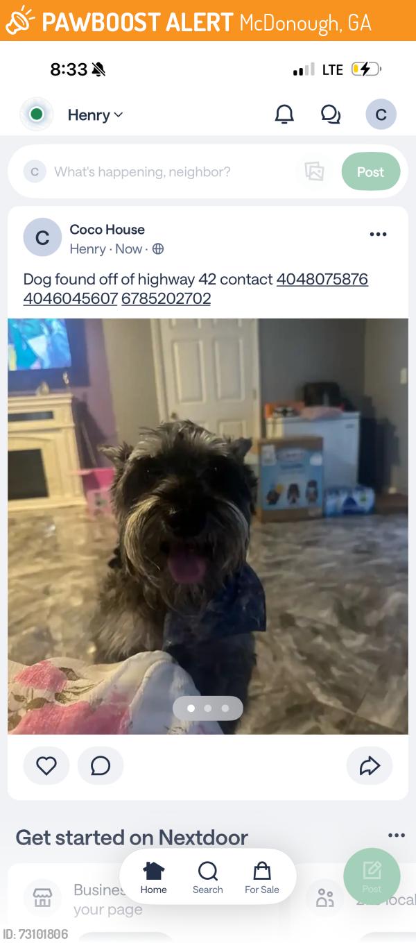 Found/Stray Male Dog last seen Highway 42, McDonough, GA 30253