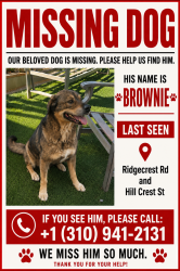 Lost Male Dog last seen Ridgecrest and Hillcrest, Victorville, CA 92395