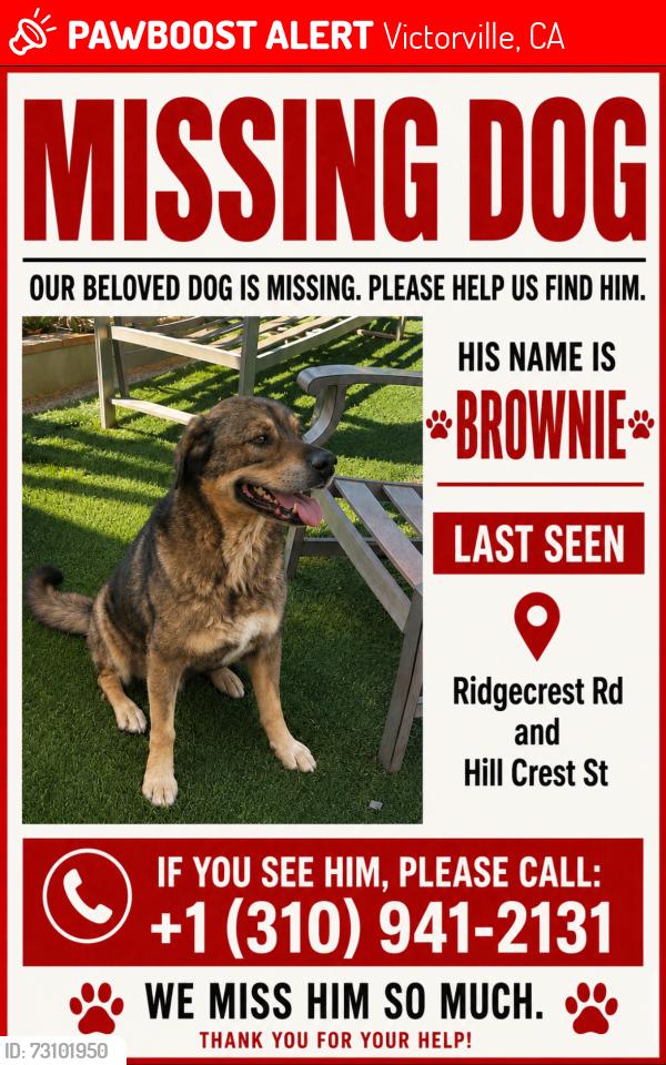 Lost Male Dog last seen Ridgecrest and Hillcrest, Victorville, CA 92395