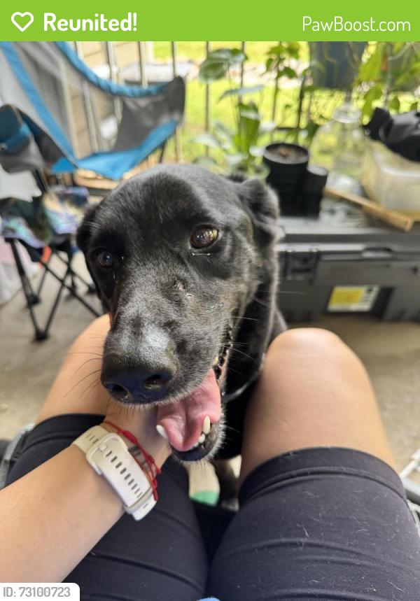 Reunited Unknown Dog last seen Harbor Landing Lake hse , Roswell, GA 30076