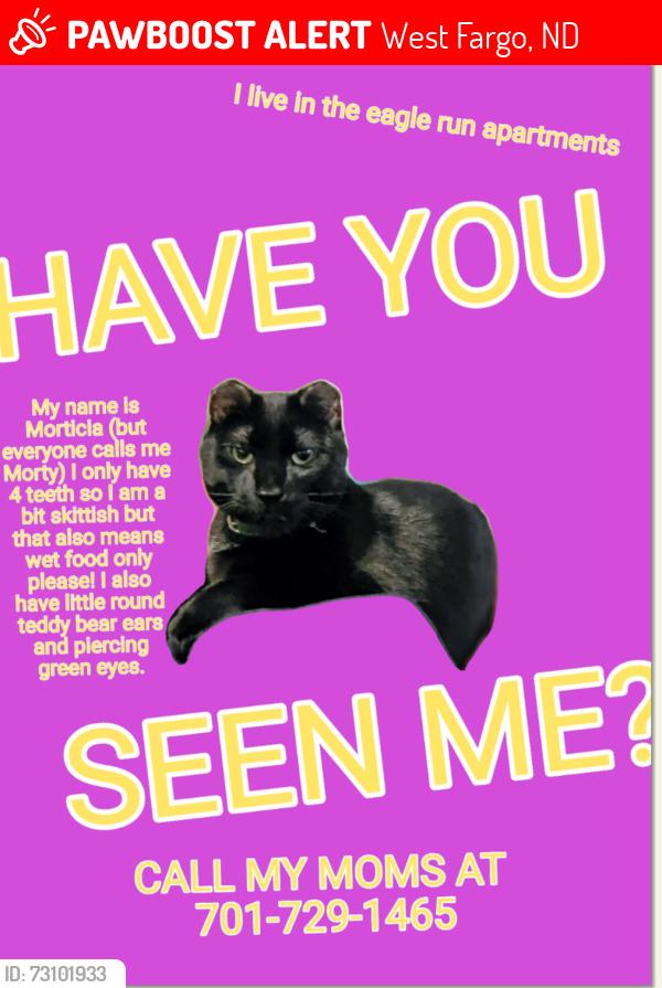 Lost Female Cat last seen Abate, Sheyenne and 34th Ave W, West Fargo, ND 58078