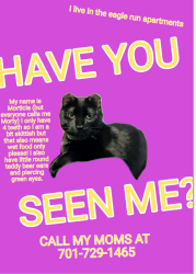 Lost Female Cat last seen Abate, Sheyenne and 34th Ave W, West Fargo, ND 58078