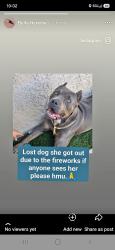 Reunited Female Dog last seen Perris, CA, USA, Perris, CA 92572
