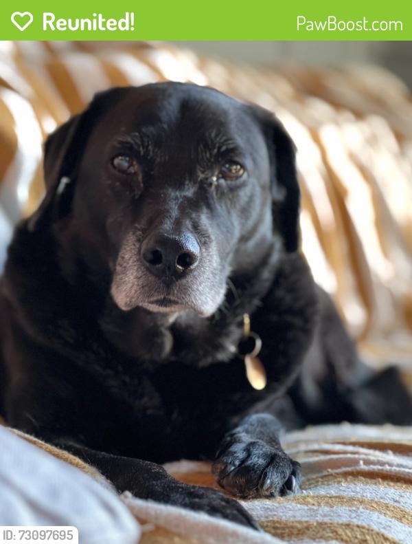 Reunited Female Dog last seen Smith Rd, Neversink, NY 12768