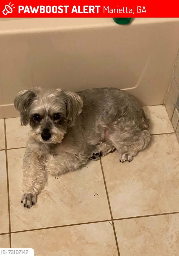Lost Female Dog last seen Near St. Anne’s and Kennesaw Ave, Marietta, GA 30064