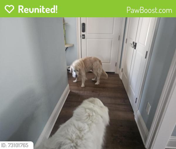 Reunited Unknown Dog last seen HAMPTON/GLENCOE, Winter Park, FL 32789
