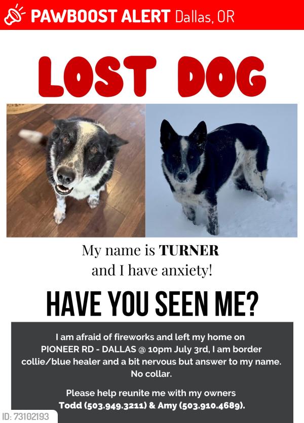 Lost Male Dog last seen Reuben Boise @ Pioneer Rd, Dallas, OR 97338