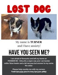 Lost Male Dog last seen Reuben Boise @ Pioneer Rd, Dallas, OR 97338