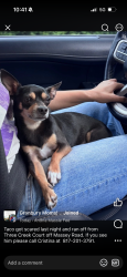 Reunited Male Dog last seen Fall Creek Hwy, Acton, TX 76049