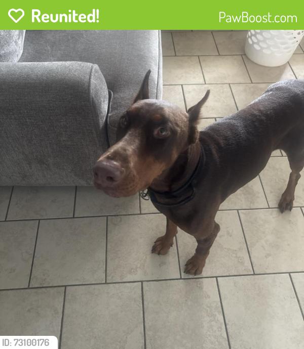 Reunited Male Dog last seen Near Floridana Rd , DeBary, FL 32713