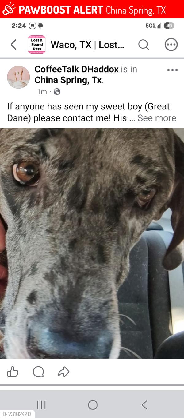 Lost Male Dog last seen CHINA spring, China Spring, TX 76633