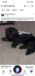 Lost Male Dog last seen Bedford Boys Ranch, Bedford, TX 76022