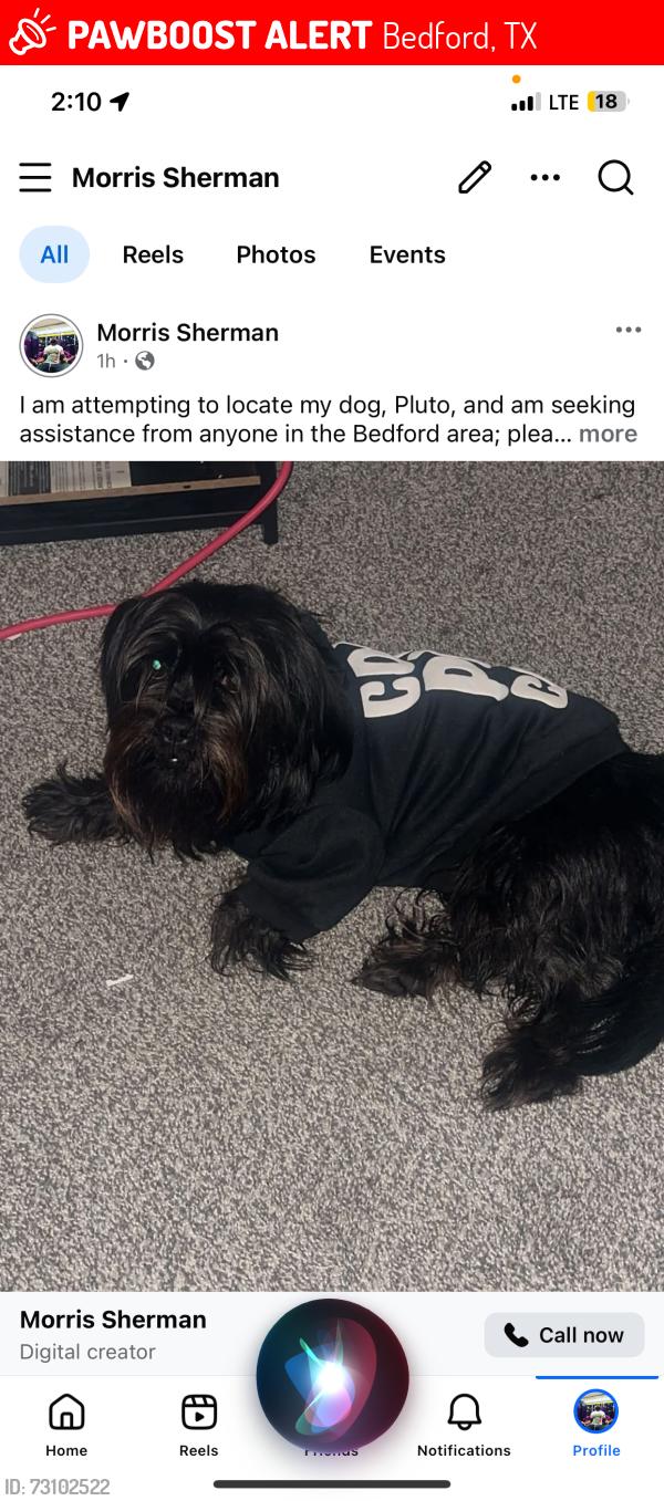 Lost Male Dog last seen Bedford Boys Ranch, Bedford, TX 76022