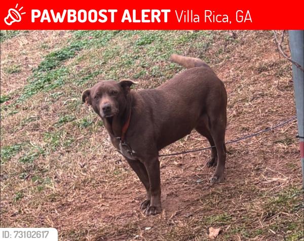 Lost Male Dog last seen River trace subdivision, Villa Rica, GA 30180