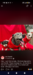 Lost Female Dog last seen Within the terramore community, Temescal Valley, CA 92883