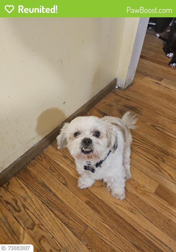 Reunited Male Dog last seen Camden and Bloomfield, Aurora, IL 60504