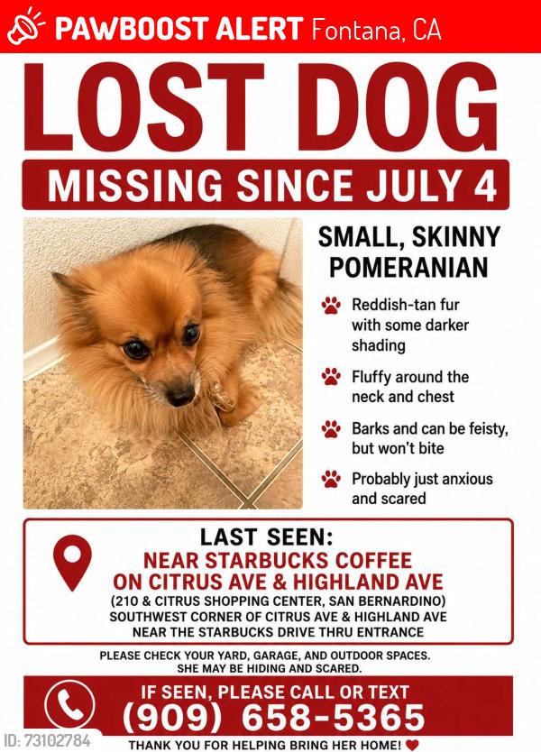 Lost Female Dog last seen Citrus & Highland, Fontana, CA 92336