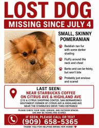 Lost Female Dog last seen Citrus & Highland, Fontana, CA 92336