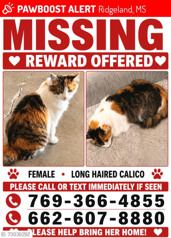 Lost Female Cat last seen Lake Harbour and Wolcott Cir, Ridgeland, MS 39157
