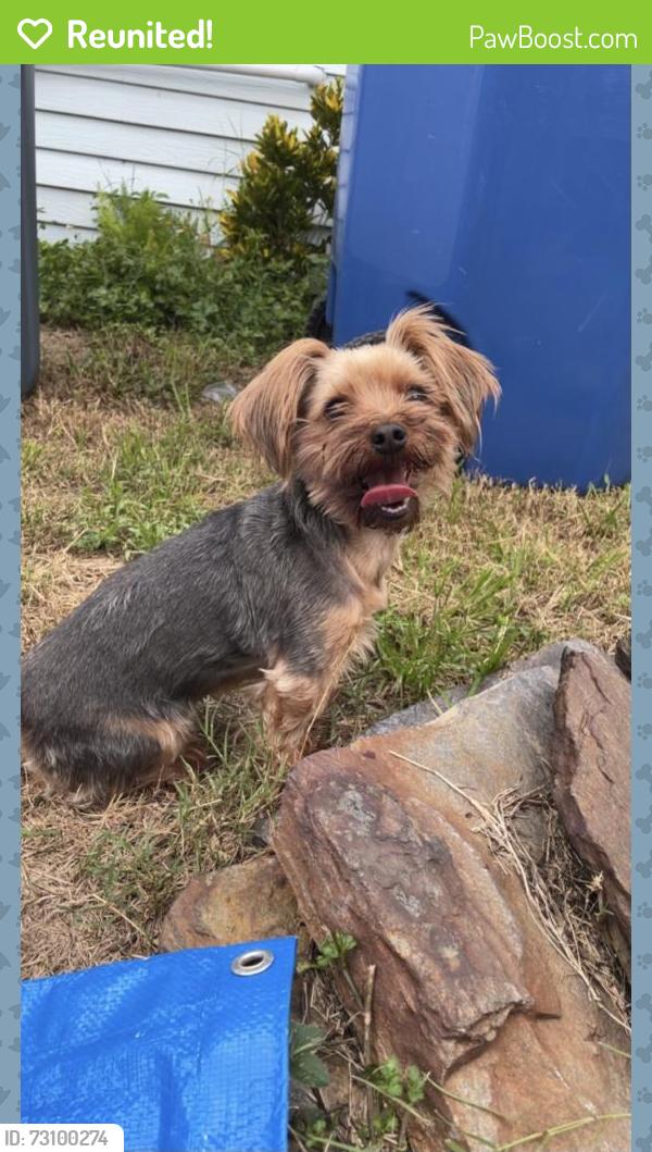 Reunited Female Dog last seen Near 65th Terrace, Pinellas Park, FL 33781, USA, Pinellas Park, FL 33781