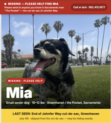 Lost Female Dog last seen Near Johnfer Way Sacramento CA 95831, Sacramento, CA 95831