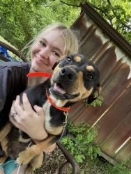 Lost Female Dog last seen county rd 187 37303, McMinn County, TN 37303