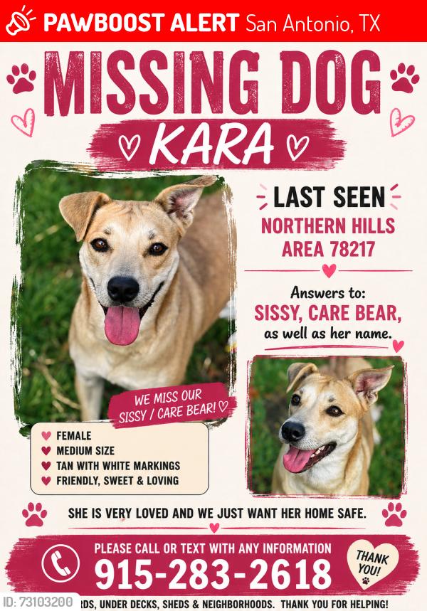 Lost Female Dog last seen Northern hills elementary, San Antonio, TX 78217