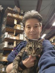 Reunited Male Cat last seen Near Andover Street, Jonspin Road area, Wilmington, MA 01887