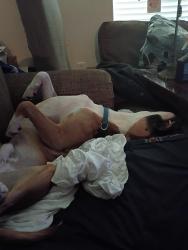 Lost Male Dog last seen 26th st, Oakland, CA 94607