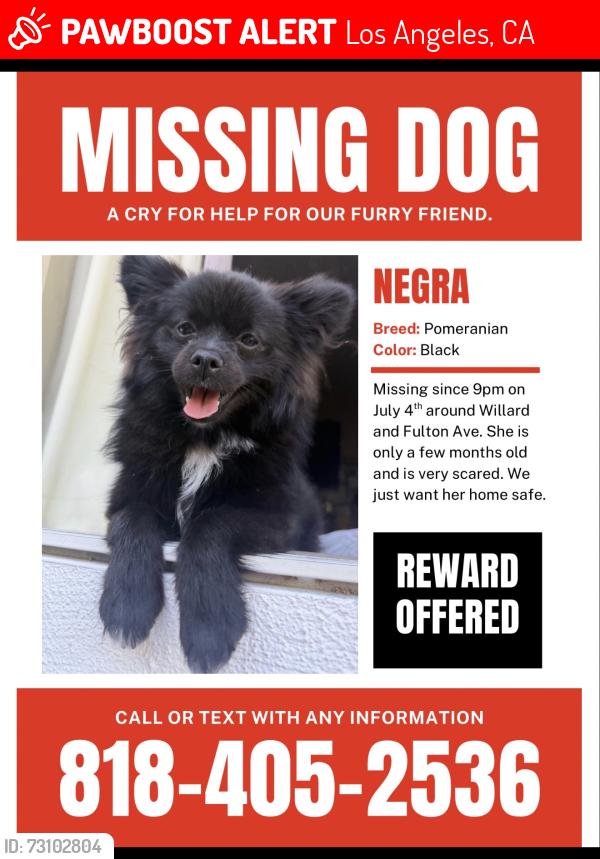Lost Female Dog last seen Willard st and Fulton ave, Los Angeles, CA 91605