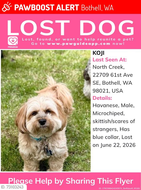 Lost Male Dog last seen Minors corner Park 45th Ave SE, Bothell, WA 98021