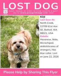 Lost Male Dog last seen Minors corner Park 45th Ave SE, Bothell, WA 98021