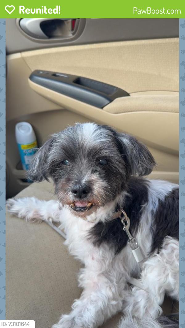 Reunited Male Dog last seen 66th st, St. Petersburg, FL 33709