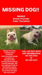 Lost Male Dog last seen Arroyo vista, Kuna, ID 83634