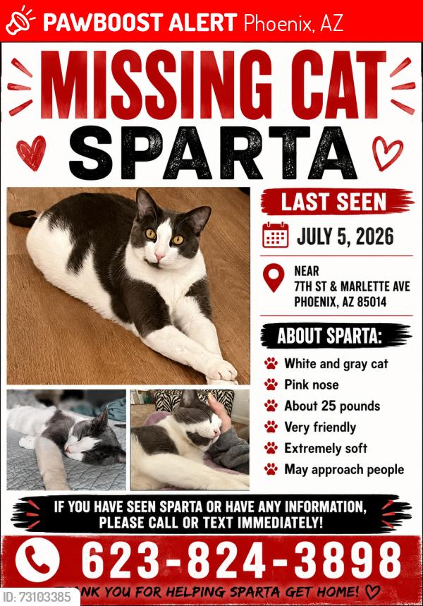 Lost Male Cat last seen 7th St and Marlette Ave, Phoenix, AZ 85014