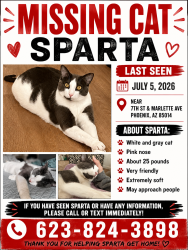 Lost Male Cat last seen 7th St and Marlette Ave, Phoenix, AZ 85014