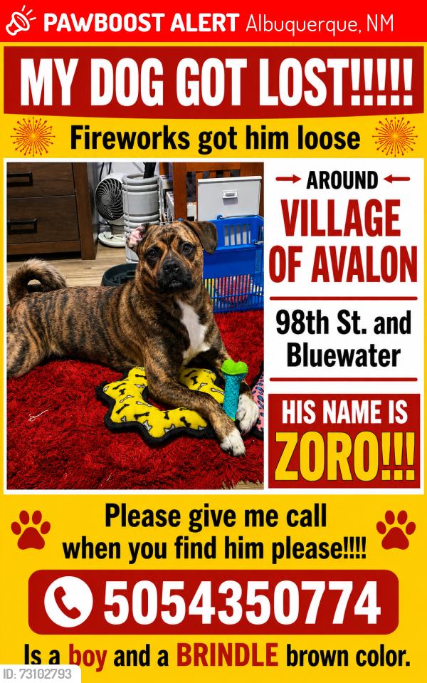 Lost Male Dog last seen 98st albuquerque new mexico, Albuquerque, NM 87121