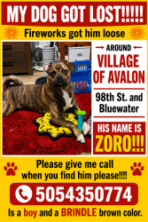 Lost Male Dog last seen 98st albuquerque new mexico, Albuquerque, NM 87121